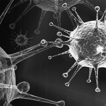 Знищення вірусів